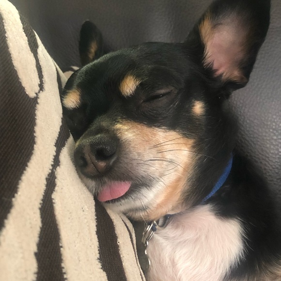 Meet your Posher, Cheri - Picture 3 of 3